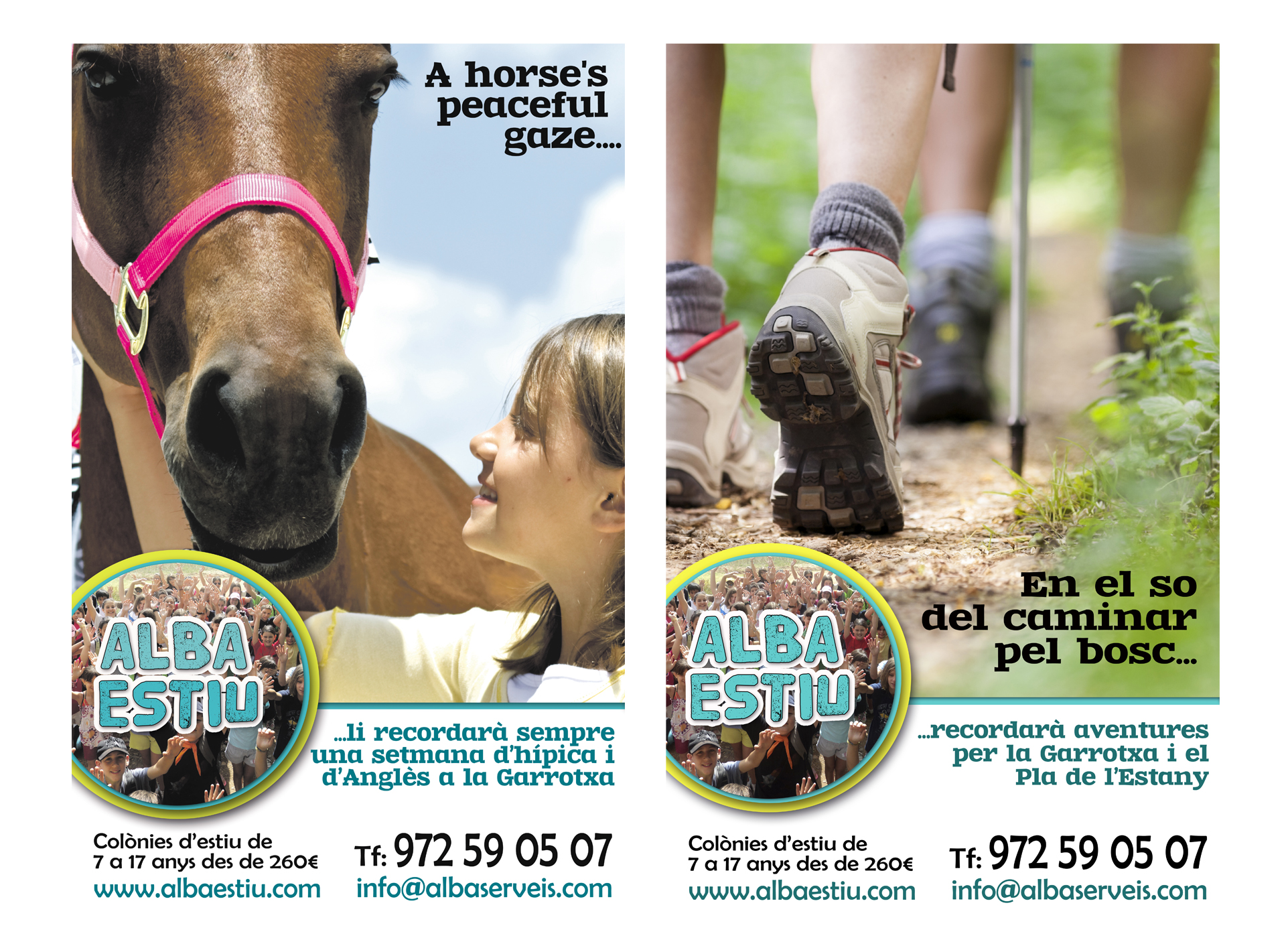 servicios